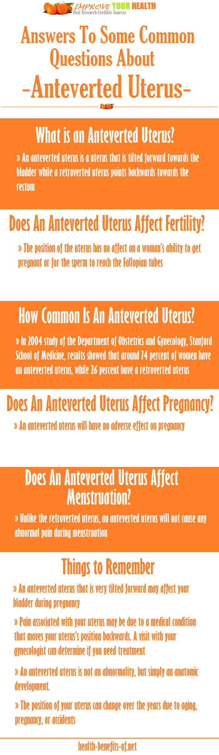 Anteverted Uterus