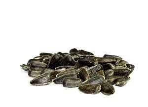 sunflower-seeds