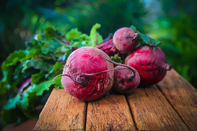 Beetroot Health Benefits