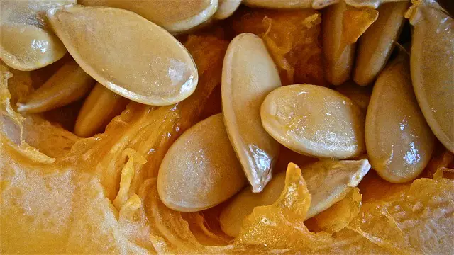 pumpkin seeds for Weight Loss