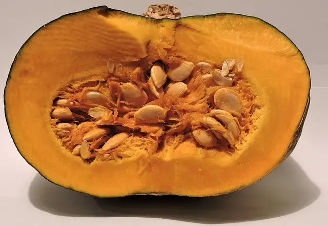Pumpkin Seed Oil health benefits