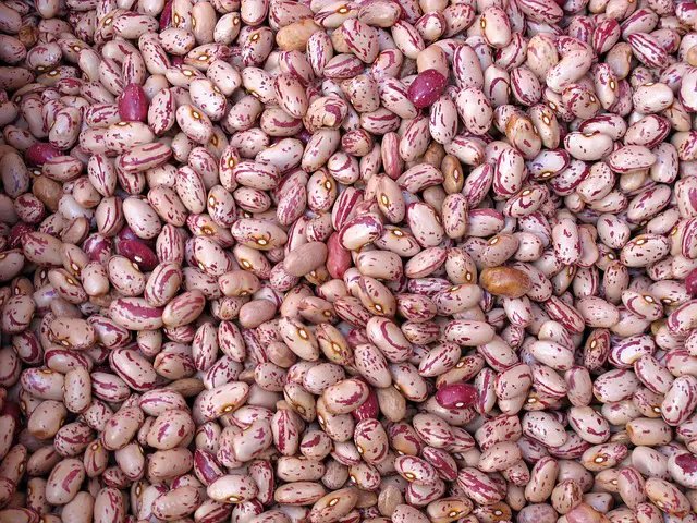 Pinto Beans benefits