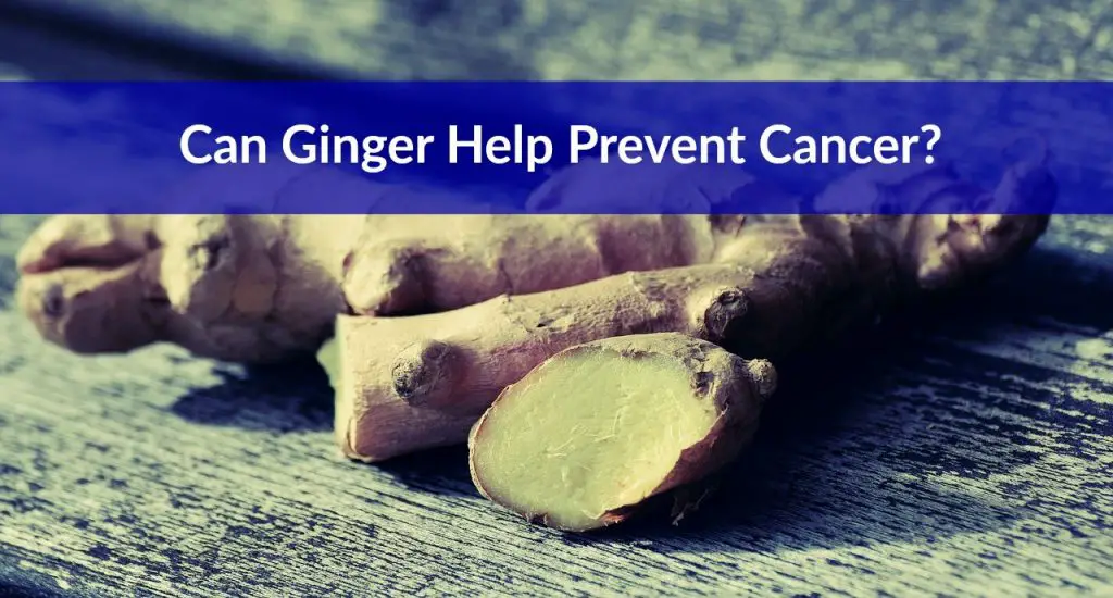 Can Ginger Help Prevent Cancer? The Healthy Apron