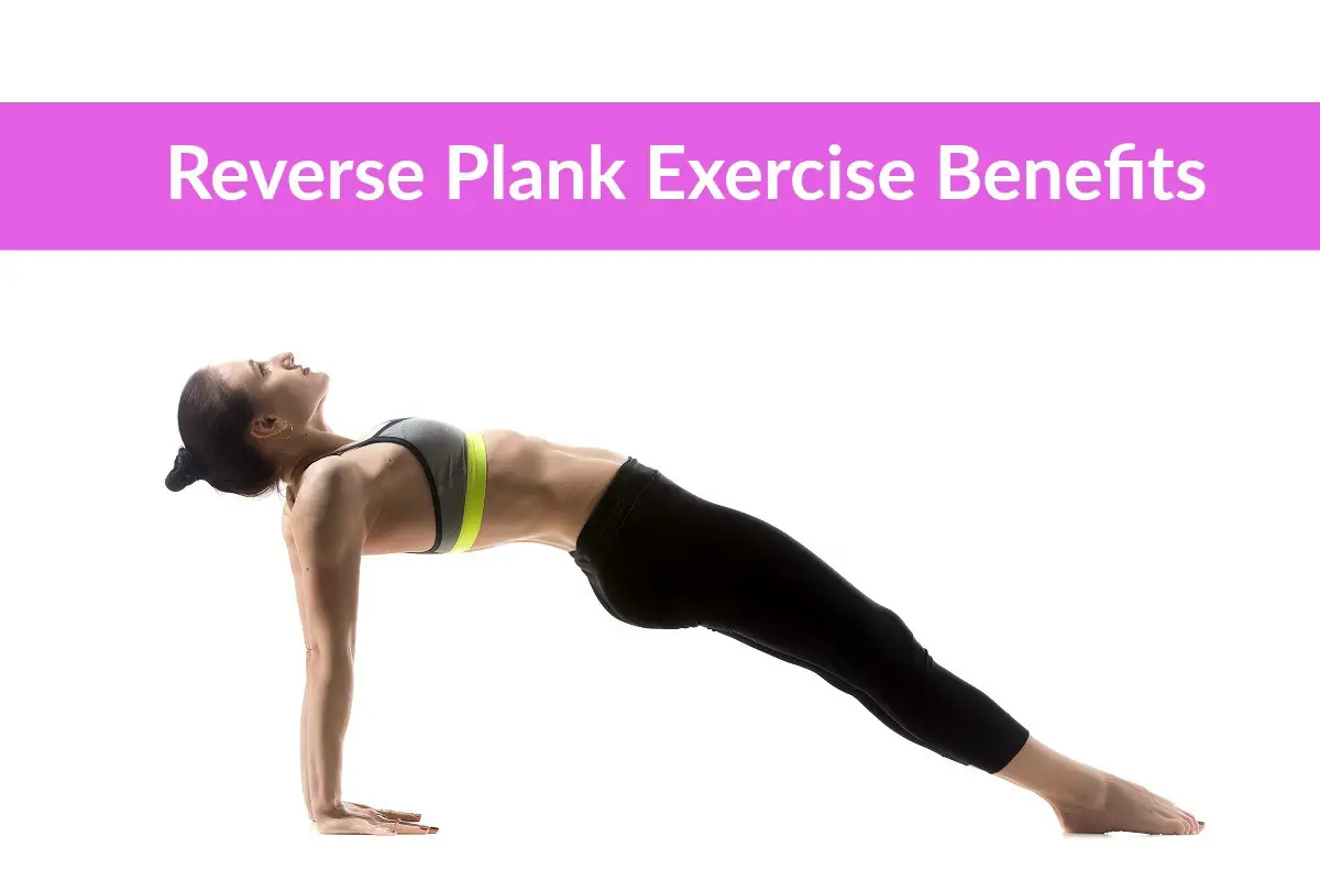 Reverse Plank Exercise