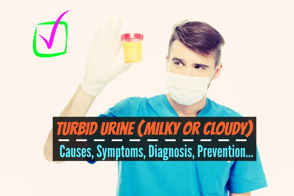 Turbid Urine Milky or Cloudy - Causes, Symptoms, Diagnosis, Prevention