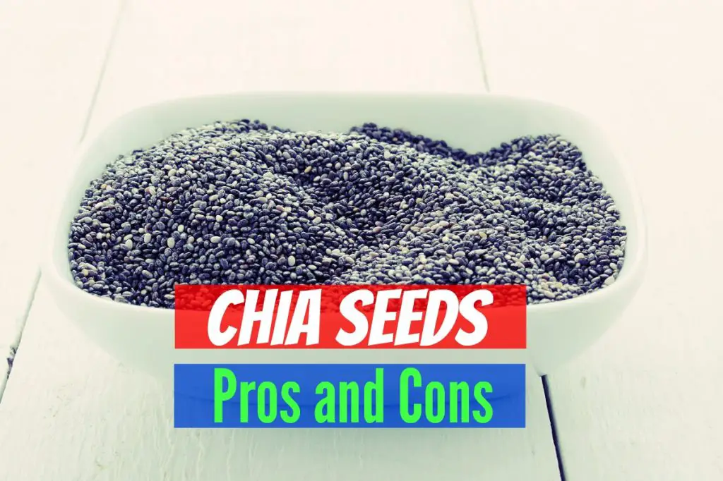 Chia Seeds Pros and Cons The Healthy Apron