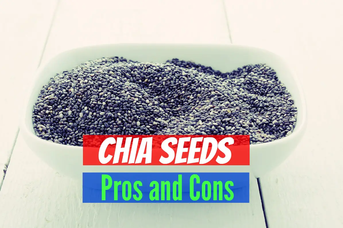 Pros and Cons of Chia Seeds