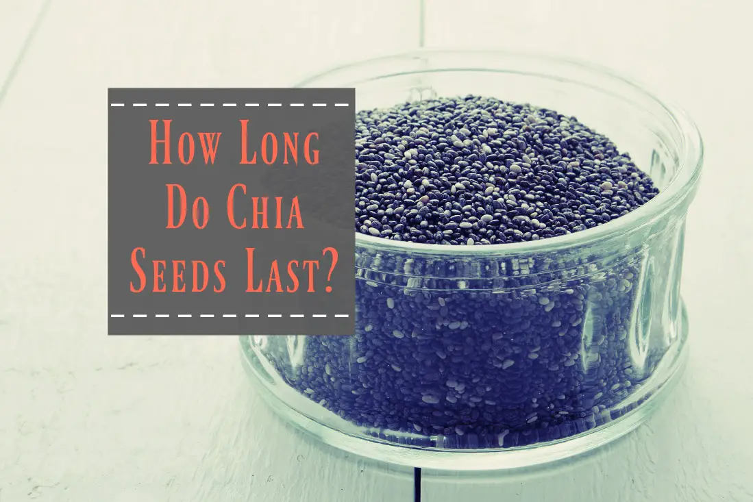 How Long Do Chia Seeds Last