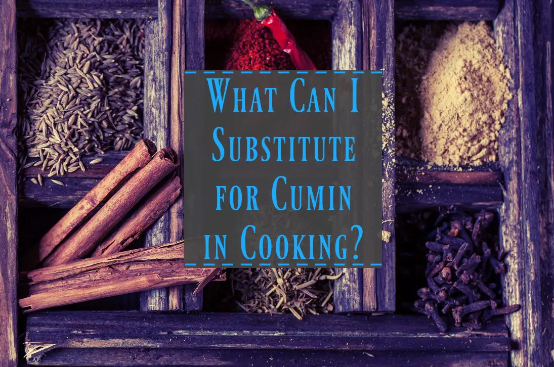 Substitute for Cumin