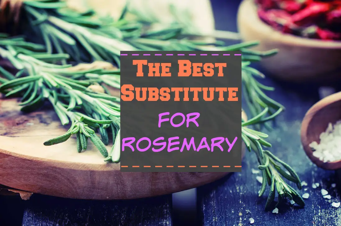 Best Substitute For Rosemary