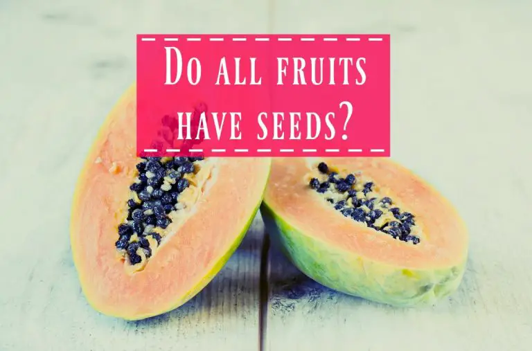 Do All Fruits Contain Seeds? The Healthy Apron