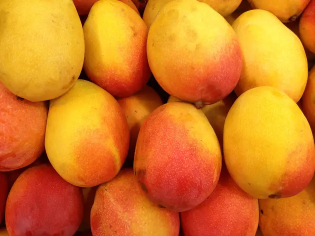Fresh Mangoes