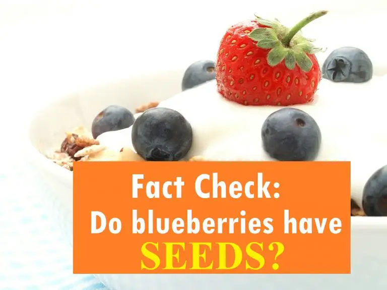 Fact Check Do Blueberries Have Seeds? The Healthy Apron