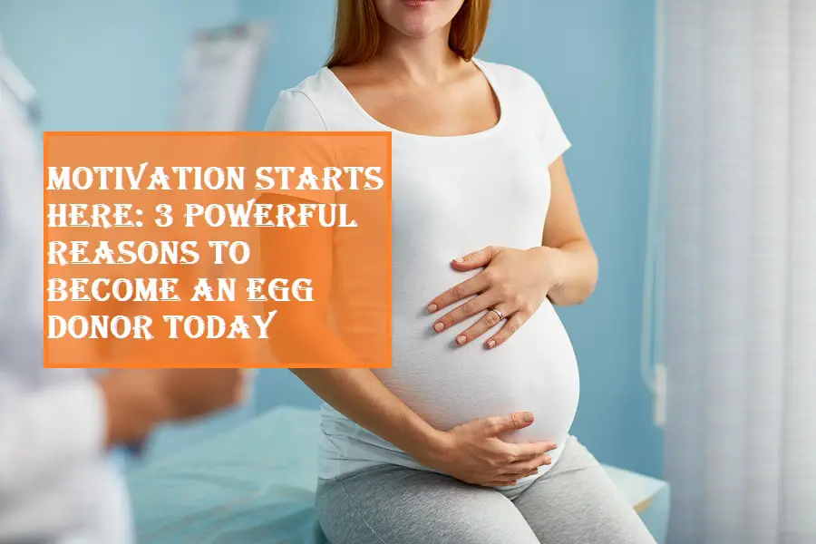 Reasons to Become an Egg Donor
