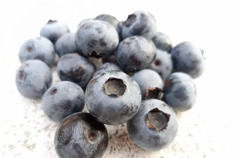 Are Blueberries Acidic? (Bad News?) The Healthy Apron