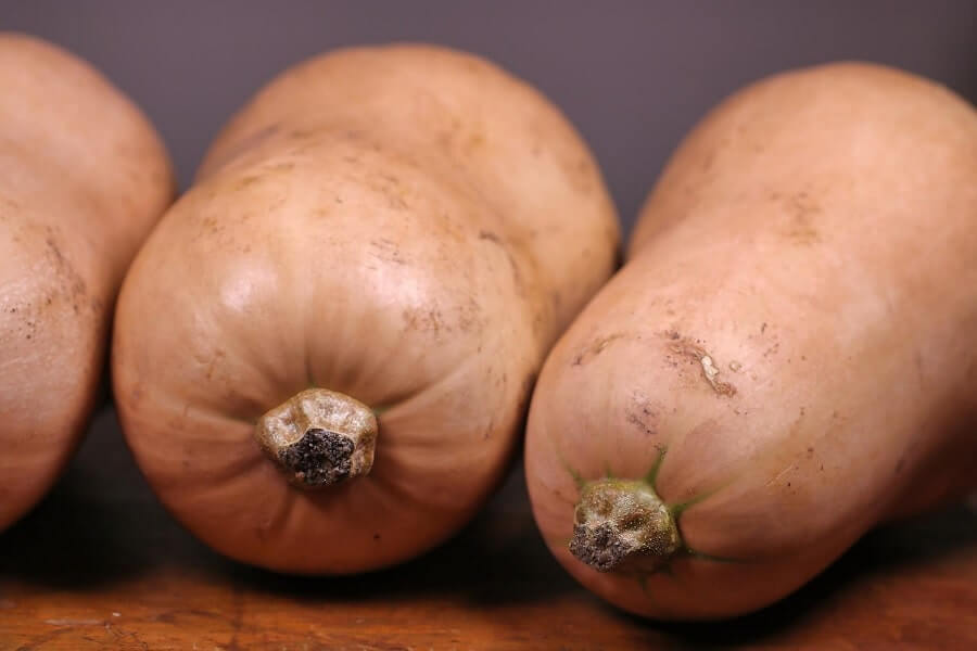 Can You Eat Butternut Squash Skin Is It Safe The Healthy Apron can-you-eat-butternut-squash-skin-is-it-safe-the-healthy-apron