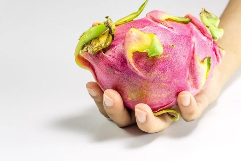 Does Dragon Fruit Make You Poop? (Good to Know) The Healthy Apron