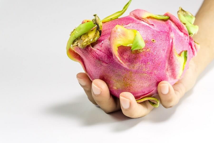 Pooping due to dragon fruit