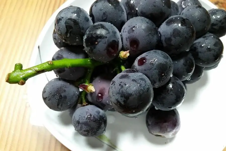 Are Green Grapes Good Laxatives