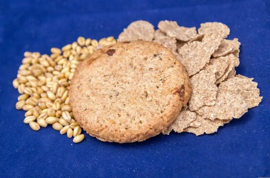 Are Grains Vegetables