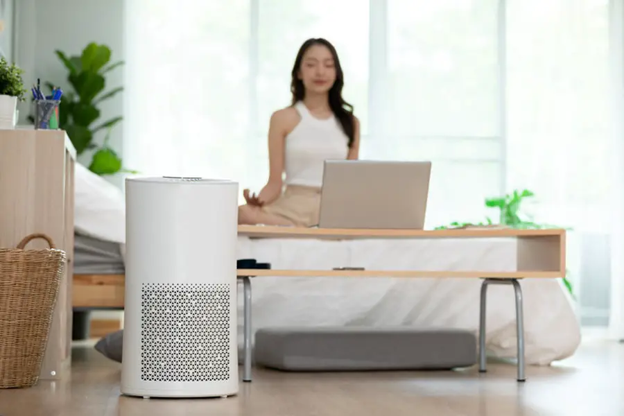 air purifier