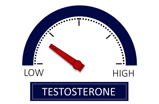testosterone levels